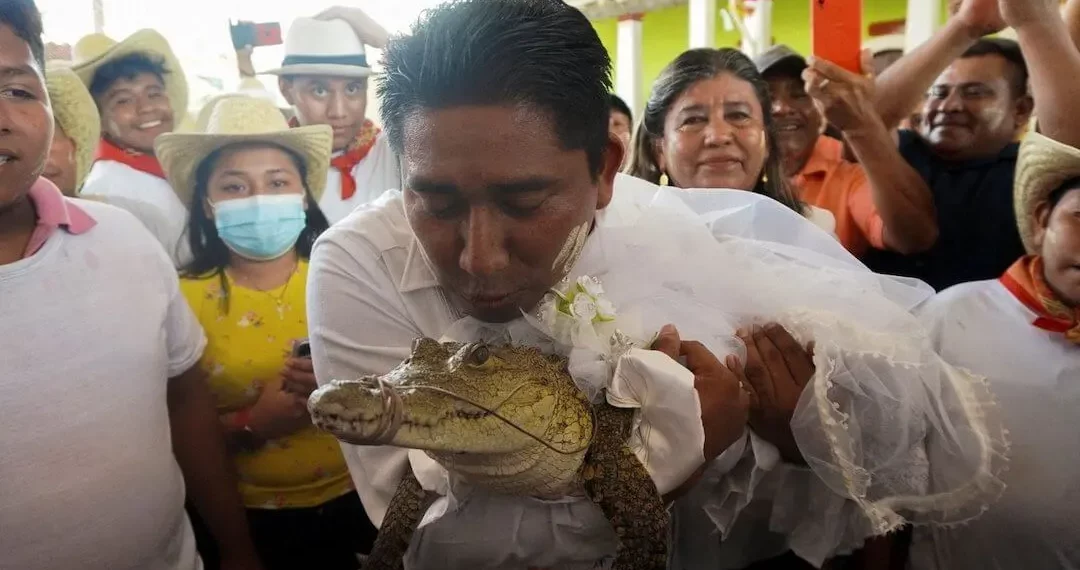 عمدة مكسيكي يتزوج من تمساح في حفل زفاف فريد من نوعه