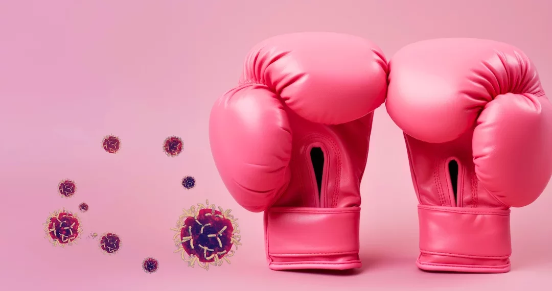 لكمات الصدر في الفنون القتالية المختلطة قد تسبب سرطان الثدي